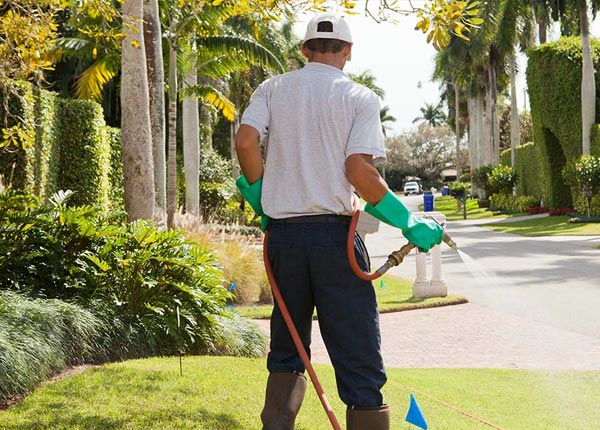 About Mc Gehee AR Pest Control Pros